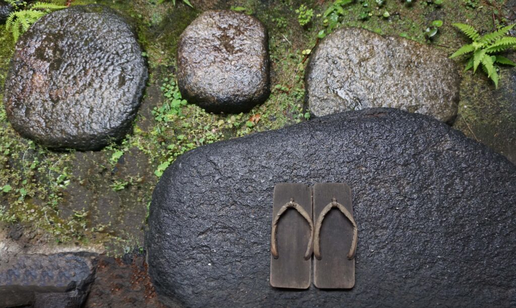 a pair of wooden sandals on a rock