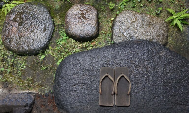 a pair of wooden sandals on a rock